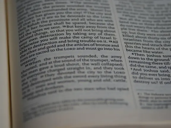 Hejgo Casino Ondersteuning